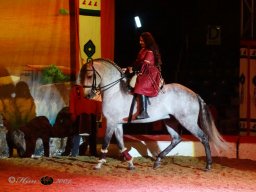 Circus YAKARI Show am 04.10.2024